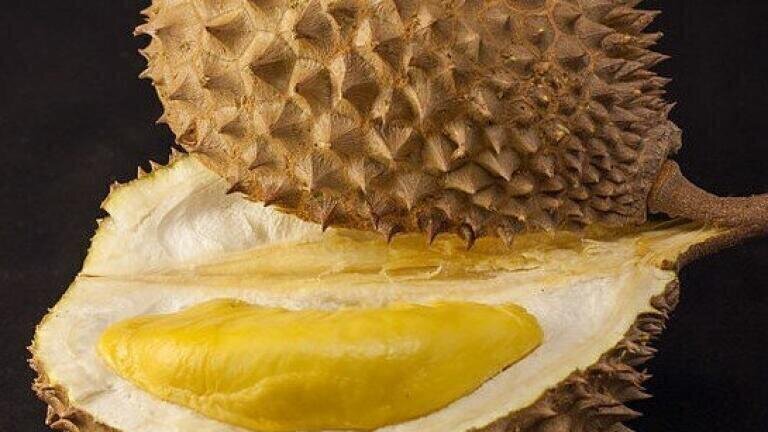 Can Chromatography Discover What’s Behind the "World's Smelliest Fruit"?
